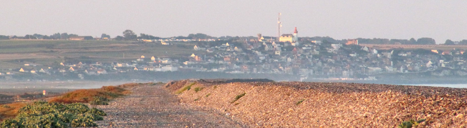 balade-art-et-nature-baie-de-somme-hable-d-ault-aube-ault-regarder-voir-galets-polder-agnes-bourdon-guide-nature-artiste-contemporain-mosaïque