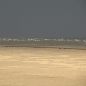 balade-art-et-nature-baie-de-somme-agnes-bourdon-guide-nature-artiste-contemporain-découvrir-observerestran-plage-grands-espaces-naturels-cayeux-sur-mer