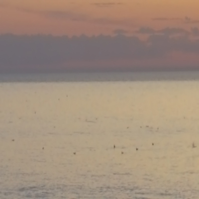 balade-art-et-nature-baie-de-somme-agnes-bourdon-guide-nature-artiste-contemporain-mosaïque-coucher-de-soleil-serenite-se-ressourcer-anti-stress-cayeux-sur-mer