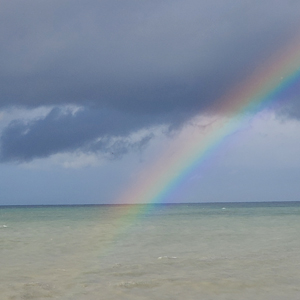 balade-art-et-nature-baie-de-somme-agnes-bourdon-guide-nature-artiste-contemporain-mosaïque-découvrir-contempler-arc-en-ciel-beaux-paysages-cayeux-sur-mer