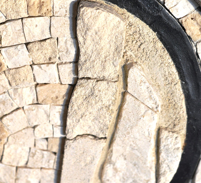 balade-art-nature-baie-de-somme-atelier-mosaïque-oeuvre-galerie-d-art-abbeville-toujours-la-vie-agnes-bourdon-guide-nature-artiste-contemporain