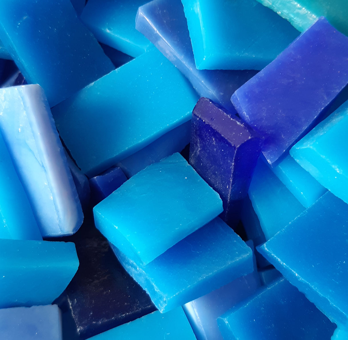 balade-art-nature-baie-de-somme-atelier-mosaïque-tesselle-pate-de-verre-artisanale-galerie-d-art-agnes-bourdon-guide-nature-artiste-contemporain