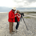 balade-art-et-nature-baie-de-somme-sortie-en-famille-cayeux-sur-mer-hable-d-ault-agnes-bourdon-guide-nature-artiste-contemporain-mosaïque-botanique-oiseaux-migrateurs-plantes-sauvages