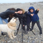 balade-art-et-nature-baie-de-somme-sortie-en-famille-cayeux-sur-mer-reserve-naturelle-agnes-bourdon-guide-artiste-contemporain-observer-decouvrir-oiseaux-migrateurs