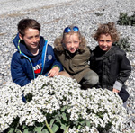 balade-art-et-nature-baie-de-somme-sortie-en-famille-chemin-de-traverse-le-hourdel-agnes-bourdon-guide-artiste-contemporain-mosaïque-observer-decouvrir-littoral-plantes-sauvages
