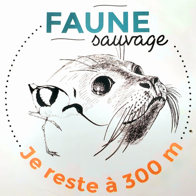 balade-art-nature-baie-de-somme-consigne-de-securite-faune-flore-oiseaux-phoques-prtoection-de-la-nature-agnes-bourdon-guide